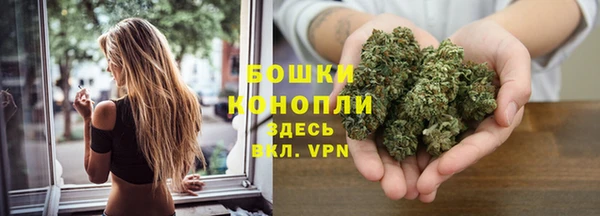 крисы Беломорск