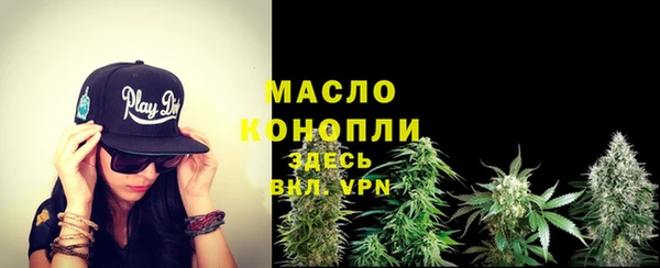 гидра Богданович
