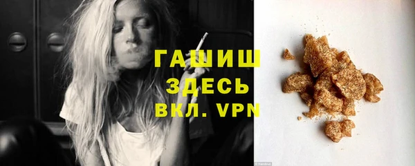 гидра Богданович
