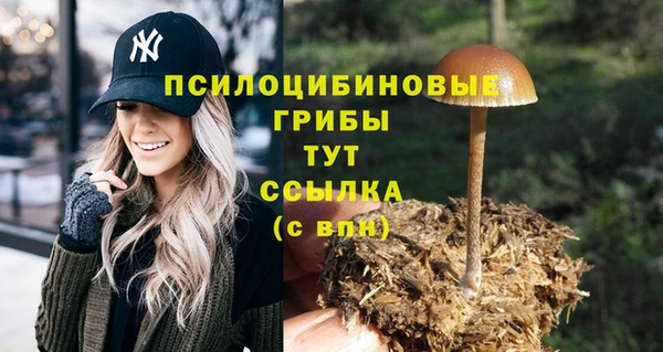 крисы Беломорск