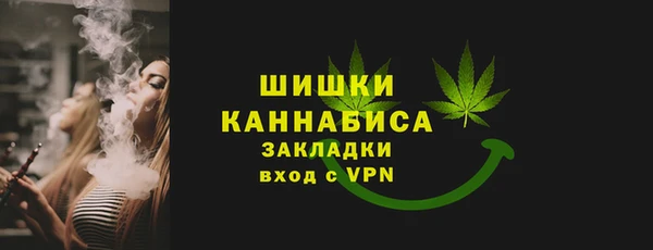 гидра Богданович