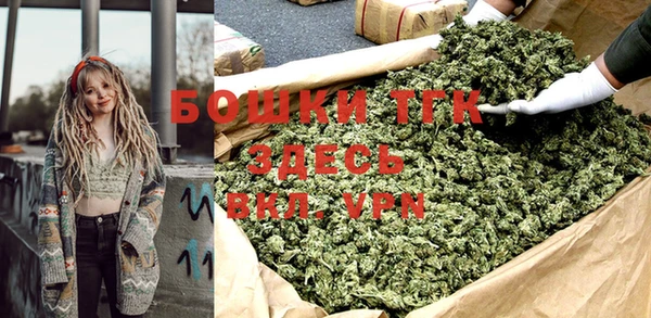 гидра Богданович