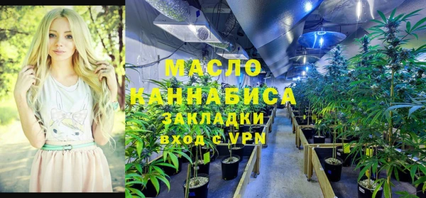 гидра Богданович